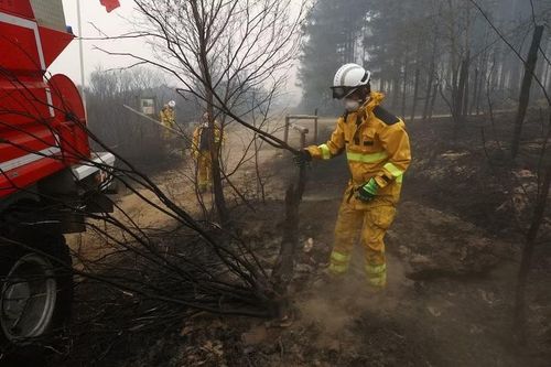 Lính cứu hỏa làm việc tại khu vực bị cháy rụi trong vụ cháy rừng gần Malmedy, Bỉ, ngày 16-8-2026