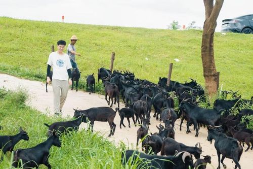 Nhiều người trẻ sẵn sàng rời bỏ công việc ở các thành phố có mức lương cao để tìm về các khu vực yên bình hơn. Ảnh: Carson Chen.