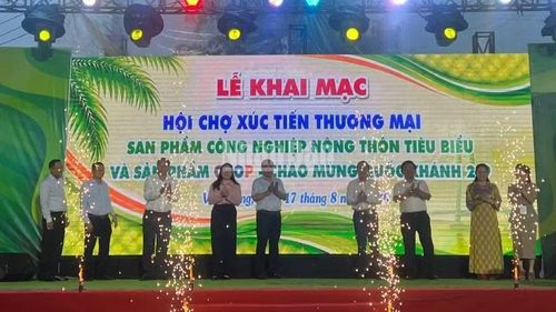 Đại biểu tham dự thực hiện nghi thức khai mạc Hội chợ xúc tiến thương mại, sản phẩm công nghiệp nông thôn tiêu biểu và sản phẩm OCOP. (Ảnh: HOÀNG TRUNG)