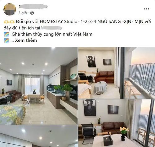 Rất nhiều thông tin cho thuê căn homestay và căn hộ dịch vụ tại các khu đô thị và dự án chung cư ở Hà Nội. Ảnh: FB.