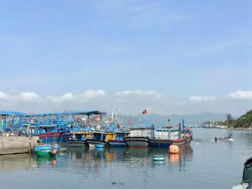  Gia Lai siết quản lý tàu cá trong tháng cao điểm chống khai thác IUU, quyết gỡ ‘thẻ vàng’. Ảnh: T.N