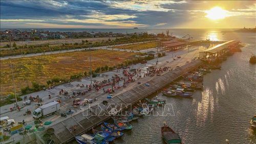 Nhịp sống sôi động tại cảng cá Cửa Nhượng lúc bình minh.