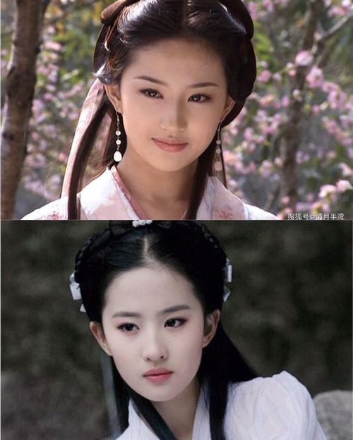 Vương Ngữ Yên và Tiểu Long Nữ được Lưu Diệc Phi thể hiện khi cô còn rất trẻ.