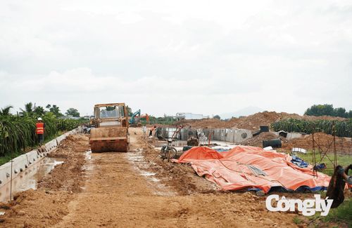 Dự án Khu tái định cư tại phường Bình Thuận.