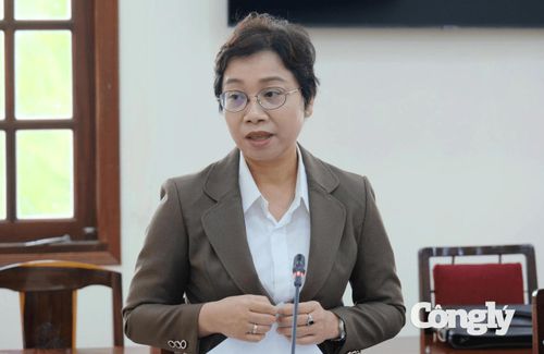 Phó Giám đốc Sở Văn hóa, Thể thao và Du lịch Nguyễn Lan Ngọc báo cáo tiến độ công tác chuẩn bị.