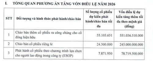 Kế hoạch phát hành cổ phiếu của Fecon. Nguồn: Fecon