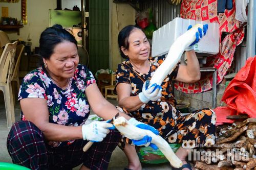 Vào mùa cao điểm, cơ sở của bà Hoa phải thuê khoảng 10 lao động làm việc từ 19 giờ đến 24 giờ để kịp sơ chế lượng củ thu mua trong ngày.