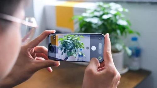 Camera iPhone 17 quay chụp vẫn rất ấn tượng.