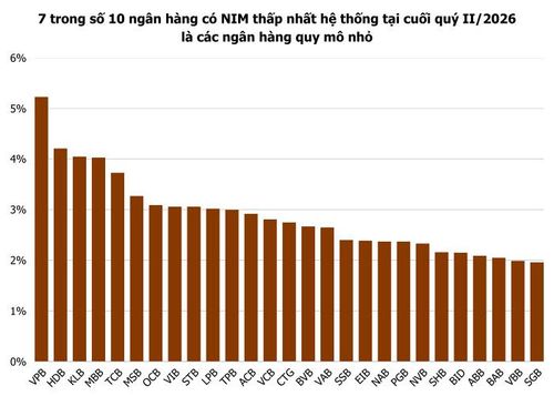   Ảnh: T.D tổng hợp từ BCTC 