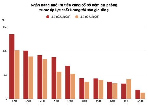    Ảnh: T.D tổng hợp từ BCTC  