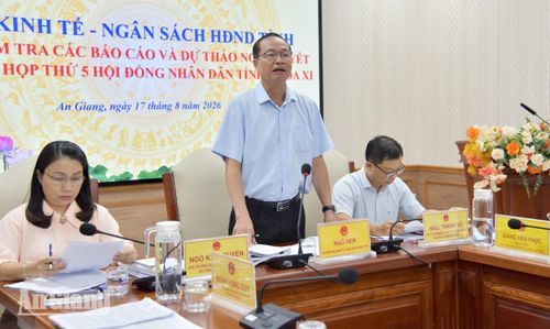 Trưởng Ban Kinh tế - Ngân sách HĐND tỉnh An Giang Ngô Hen phát biểu kết luận phiên họp.