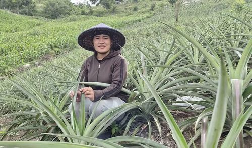  Vườn dứa mật của chị Trần Thị Bích (thôn Hbang, xã Tơ Tung) phát triển xanh tốt, mang lại nguồn thu đáng kể cho gia đình. Ảnh: N.S 