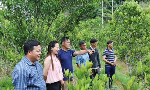 Đảng viên xã Pha Long phát huy vai trò tiên phong trong phát triển các mô hình kinh tế tại địa phương.