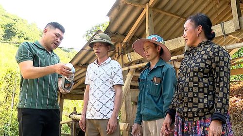 Cán bộ thú y Trung tâm Dịch vụ tổng hợp xã Phình Hồ trực tiếp hướng dẫn người dân cách phòng dịch bệnh cho đàn vật nuôi.