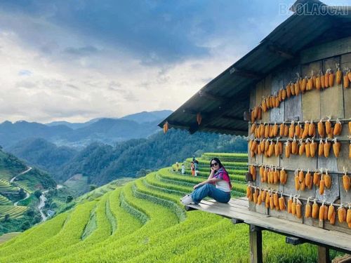 Cảnh quan ruộng bậc thang cùng không gian sinh hoạt bản địa tạo sức hút đối với du khách khi đến Púng Luông.