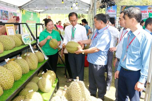 Lãnh đạo các địa phương tham quan gian hàng tại Lễ hội Trái cây La Dạ