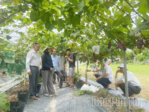 Đoàn đại biểu người có uy tín của một số xã trên địa bàn tỉnh đến tham quan, học hỏi mô hình phát triển kinh tế hiệu quả tại tỉnh Quảng Ninh.