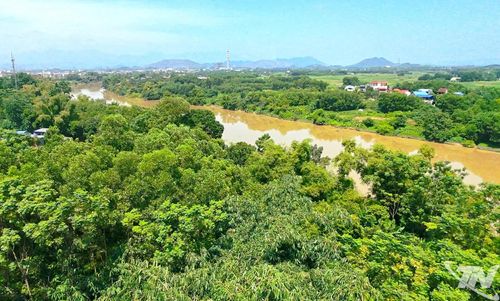 Đoạn sẽ thi công đê Hữu Cầu trên địa bàn phường Quan Triều (Ảnh chụp flycam, hướng từ khu vực Quang Vinh cũ)