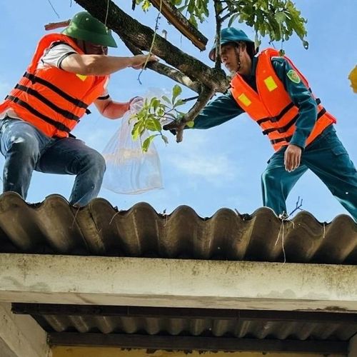 Các lực lượng của phường Dương Nỗ diễn tập giằng chống mái nhà khi gió lớn. (Ảnh minh họa)