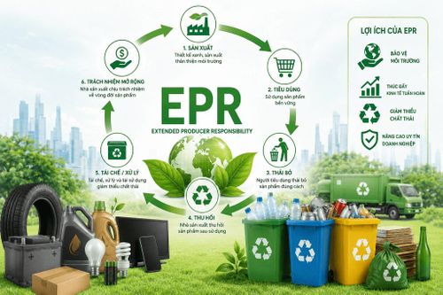 Việt Nam đã đạt những bước tiến trong triển khai EPR, song cơ chế này cần tiếp tục hoàn thiện. Ảnh: V.Bảo