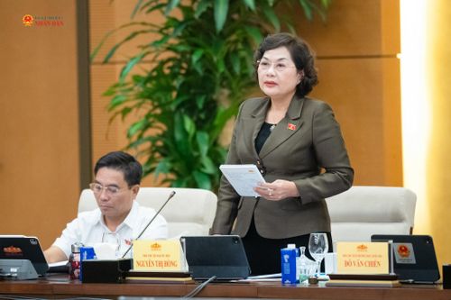 Phó Chủ tịch Quốc hội Nguyễn Thị Hồng phát biểu