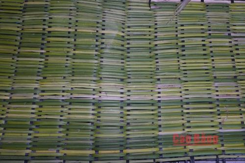 Với ông Vừ, bà Thông, giữ nghề đan chiếu cói cũng là giữ lại ký ức của cha ông, để con cháu hiểu hơn về cội nguồn và tiếp tục gìn giữ nghề qua các thế hệ.