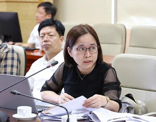 Các đại biểu phát biểu.  Ảnh: Trần Minh