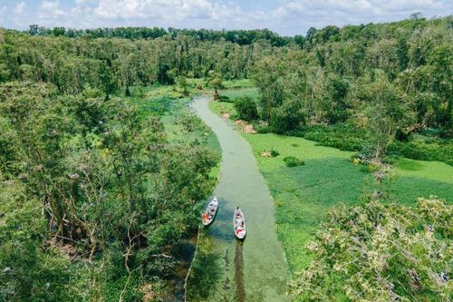 Rừng tràm Trà Sư là khu du lịch sinh thái hình thành năm 1983. Ảnh: Trasu Tourist Area.