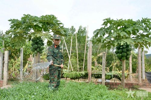  Chăm sóc vườn rau.