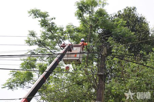Công ty Điện lực Hà Tĩnh thực hiện phát quang hành lang lưới điện, cắt tỉa cây cối có nguy cơ ảnh hưởng đến đường dây, chủ động phòng ngừa sự cố trong mùa mưa bão.