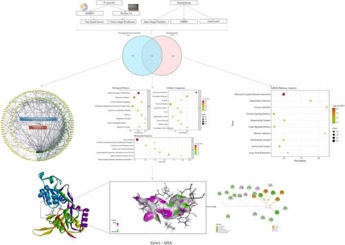 Nấm Pseudogymnoascus chứa 9 hợp chất hoạt tính sinh học với khả năng thẩm thấu qua hàng rào máu não bảo vệ thần kinh.