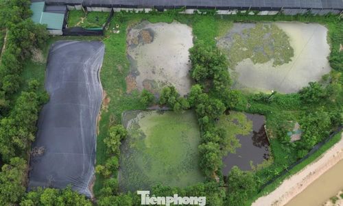 Các hố xử lý nước thải trong khuôn viên trang trại.