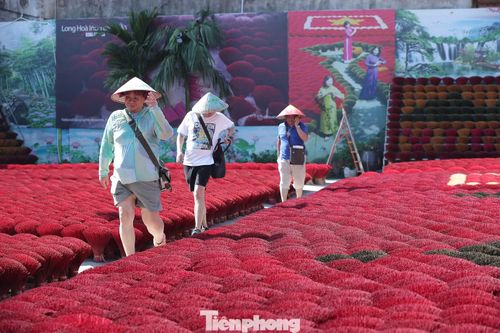 "Tôi từng nhìn thấy hình ảnh nơi này trên mạng xã hội và muốn đến tận nơi. Khung cảnh thực tế rất ấn tượng, đặc biệt khi đứng giữa những bó hương đỏ rực", một du khách nước ngoài chia sẻ.
