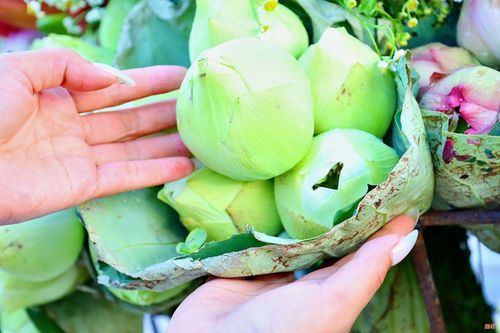 Những loại hoa như sen, thanh liễu, cúc họa mi... được lựa chọn, chăm chút kỹ để giữ được độ tươi. Mỗi xe hoa thường duy trì khoảng 3 ngày trước khi thay hoa mới.