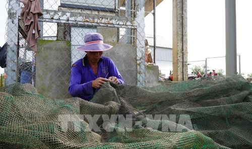Nông dân ở vùng đầu nguồn của tỉnh Đồng Tháp vá lưới, chuẩn bị việc đánh bắt cá trong mùa nước nổi sắp đến. Ảnh: Nhựt An - TTXVN
