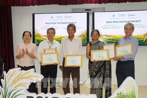 Đại diện Cục Trồng trọt và Bảo vệ thực vật trao chứng nhận cấp phép lưu hành giống lúa Nông Dân 1 và Nông Dân 2 cho các đơn vị tham gia nghiên cứu. Ảnh: Thu Hiền - TTXVN