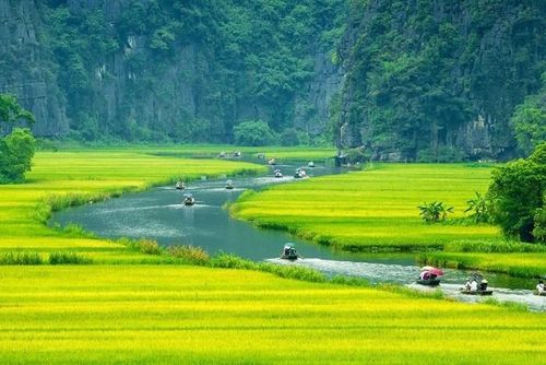 Ảnh: Sưu tầm