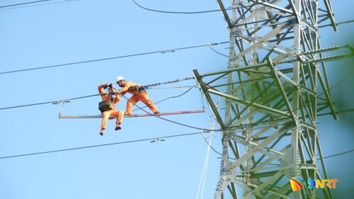 Công ty Điện lực Đà Nẵng tổ chức diễn tập xử lý sự cố, phòng chống thiên tai và tìm kiếm cứu nạn năm 2026. Ảnh: ĐVCC