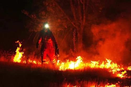 Nắng nóng kéo dài cũng làm gia tăng nguy cơ cháy rừng - Ảnh: AP