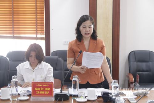 Lãnh đạo UBND xã Đình Lập phát biểu một số nội dung liên quan đến thực hiện các tiêu chí NTM trên địa bàn
