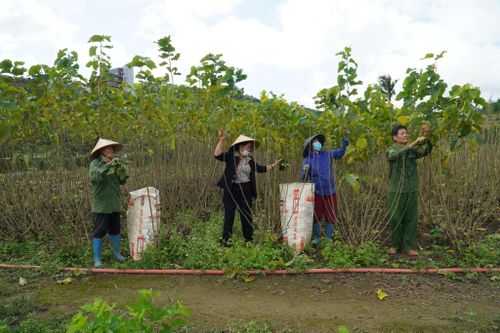 Xã Quảng Sơn hướng đến quản lý giảm nghèo theo từng hộ, từng nguyên nhân và từng phương án thoát nghèo để đem lại hiệu quả thực chất
