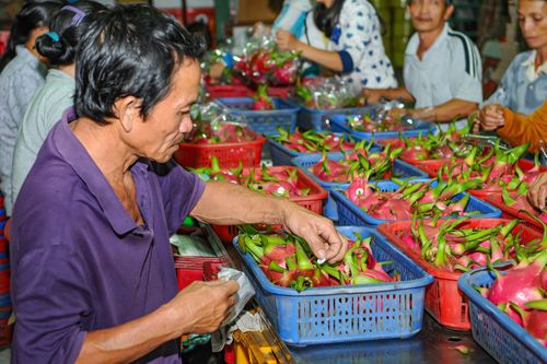 Lâm Đồng tiếp tục phát triển sản phẩm OCOP theo hướng đi vào chiều sâu