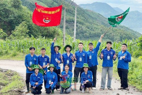 Sinh viên Trường Đại học Tây Bắc trong chiến dịch tình nguyện hè 2026 tại xã Tân Phong. Ảnh: Kiều Tiến Lương