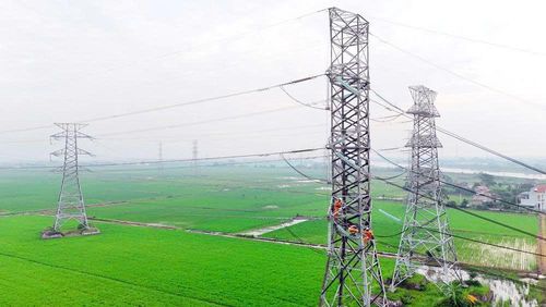 TTĐ Tây Bắc 2 thi công tại vị trí cột 111, đường dây 220kV Nhiệt điện Thái Bình 2 - Trực Ninh
