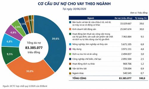  Cơ cấu dư nợ cho vay theo ngành của BVB. 