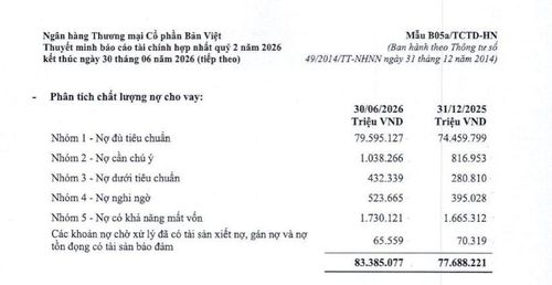  Cơ cấu chất lượng nợ vay của BVBank. 