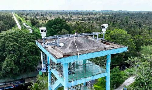  Camera AI cảnh báo sớm nguy cơ cháy rừng, phá rừng hoặc các diễn biến bất thường của thiên tai. 