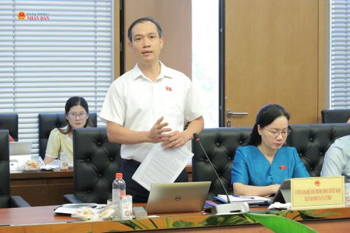 ĐBQH hoạt động chuyên trách tại Ủy ban Pháp luật và Tư pháp Nguyễn Duy Tiến phát biểu