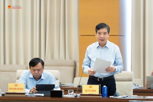 Thứ trưởng Bộ Tài chính Tạ Tuấn Anh trình bày Tờ trình của Chính phủ