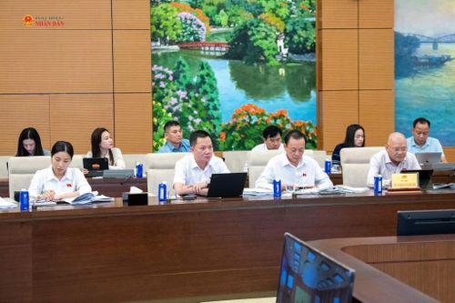 Các đại biểu tham dự phiên họp